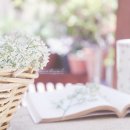 치유하는 글쓰기 이미지