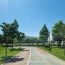 국토종주자전거길1-162 이미지