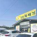 행복한찰진꽈배기 이미지