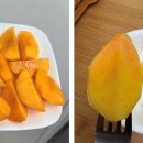 진성농장2 이미지