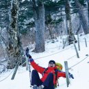 원진민박 이미지