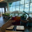 코우코알라 이미지