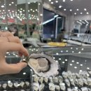 수산시장주차장 | [호주 시드니] 시드니 수산시장 방문 후기 (주차장, 페리, 굴, 랍스타 가격)