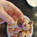 원바리스타커피학원 이미지