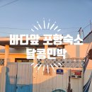 달콩민박 이미지