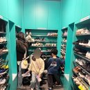 세종센터빌딩B동 | 세종 아이랑 가볼만한곳 바운스 더퍼스트 세종센터 내돈내산 후기