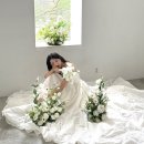 에밀리 살롱(Emily Salon) | [스드메] 결정장애 오는 스튜디오 선택, 업체 리스트 추천