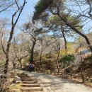 관음사 옆 화장실 이미지