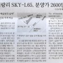 롯데SJY 이미지