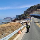 도음소도(돔배)