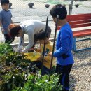 천안중앙초등학교 이미지