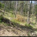 떡본김에 이미지