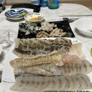 19일 -特大쏨팽이,활민어,자연산활참농어, 바지락살, 활참소라, 大맛조개 이미지