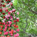 양양에 살다 이미지