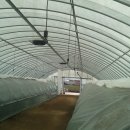 대정농장 이미지