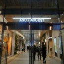 미스터스시강 이미지