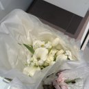 2459 | [W.11]대전 더숲 스튜디오 촬영 생화 부케 잘하는 곳 '플라워다비' 내돈내산 추천 후기