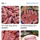 하이원 리조트 댕댕트레킹 후 애견동반 가능한 정선 고향한우촌 후기