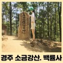 용강동소금강 | 경주 국립공원 소금강산 백률사코스 시그니처 포즈