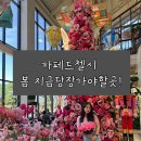 카페드첼시 | 김포 카페드첼시 후기 | 튤립정원 + 유럽감성 포토존 대형카페 지금당장가야할곳!