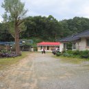 제경농장 Daum카페