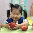 나무 반 5월 5주 자연활동 : 멋쟁이 토마토! 이미지