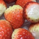 명가인김밥 | 손이 시려워 꽁!