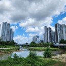 기아대교 이미지