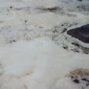 스타세탁·수선 이미지