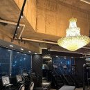 닥터피티 이미지