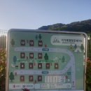 춘천 사가록캠핑장 20번 사이트 상세 후기