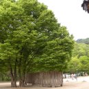 대종목욕탕 이미지