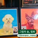 [인천|부평] 반려동물 초상화 원데이클래스 후기 :: 와이파이스튜디오, 부평화실