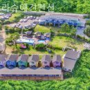 처음처럼 애견펜션 이미지