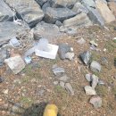 [지속가능월드네트워크] 지월네 정기 수변정화활동 후기-1📂