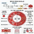 혈액을 맑게 하자 1 이미지