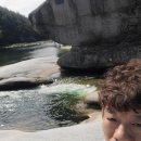 옛날 산머루 포도 캠벨얼리 포도 고들빼기 이미지