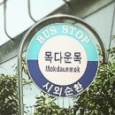 먼나머루