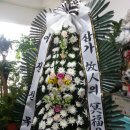 안성동인병원 이미지