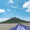 꽃 피는 4월 봄날을 위해, 전국 섬 여행 명소(대이작도,반월도&amp;박지도(퍼플섬),관매도 이미지