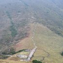 알프스식당 이미지