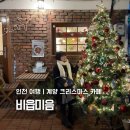 지아 애견샵 | 인천 크리스마스 트리 카페 비읍미음 서운동