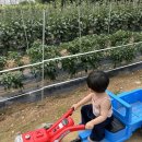 달리는농장