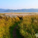 서정적인 이미지