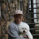 레이지 포 이미지