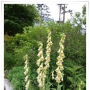 분당야탑청소년수련관 이미지