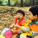 낙원유치원 이미지