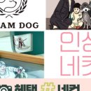 드림독 강아지분양 안심분양센터 인천점 이미지