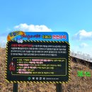 주월산 등산로 화장실 | [보성가볼만한곳] 주월산 페러글라이딩장