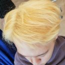 호유 이미지
